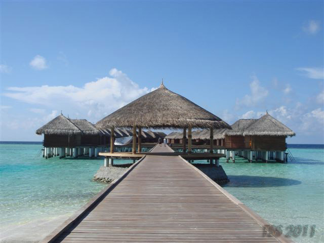 TOMASO SAIL & SURF goes Maafushivaru...