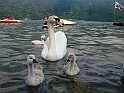 CIMG0839