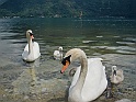 CIMG0930