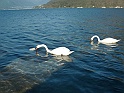 CIMG0450