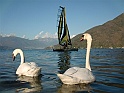 CIMG0455