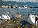 CIMG0372