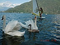 CIMG8353