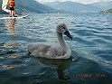 CIMG8361