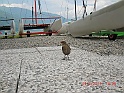 CIMG7598