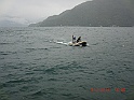 CIMG8139
