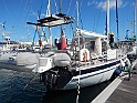 DSCN6353
