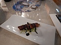 DSCN7248