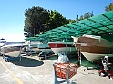 DSCN8634