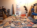 DSCN8795