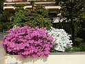 DSCN8811