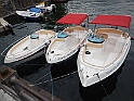 DSCN8894