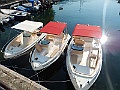 DSCN1695