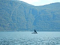 DSCN2410