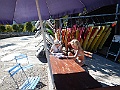 DSCN2587