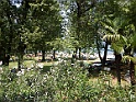DSCN0080