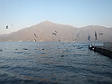 DSCN3678