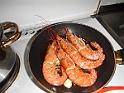 DSCN4411