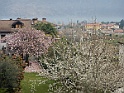 DSCN9449