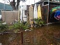 DSCN8864