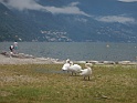 DSCN9305