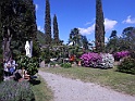 DSCN7000