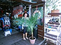 DSCN8701