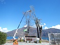 DSCN0411