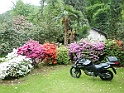 DSCN0787