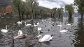 20181109_133451