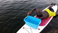 20190627_194333