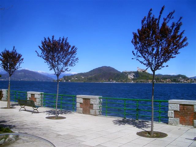 CIMG6353.JPG