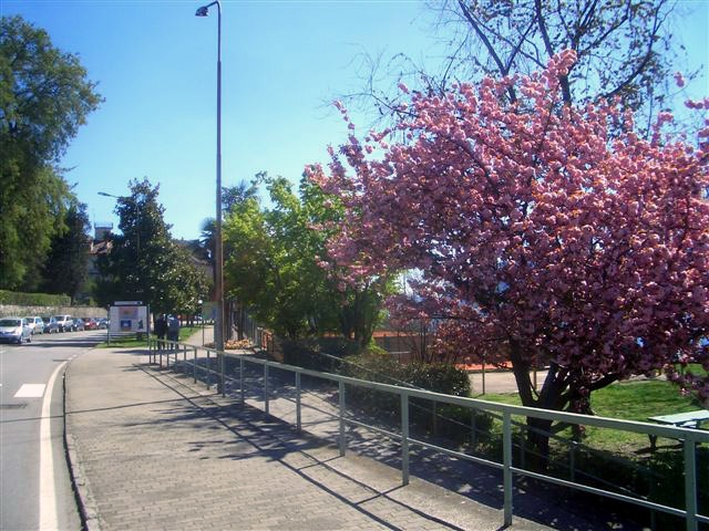 CIMG6359.JPG