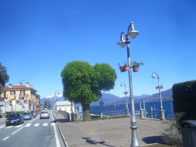CIMG6393.JPG