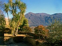 CIMG4450