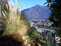 CIMG4459