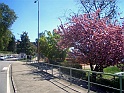 CIMG6359