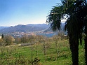 CIMG6447