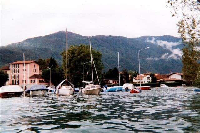 w14.jpg