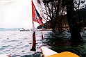 w19