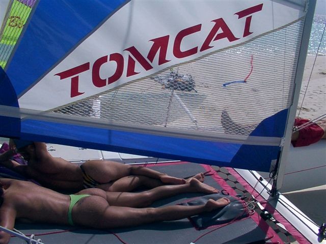 Tomcat_16.JPG