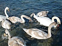 CIMG0289