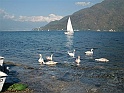 CIMG0297