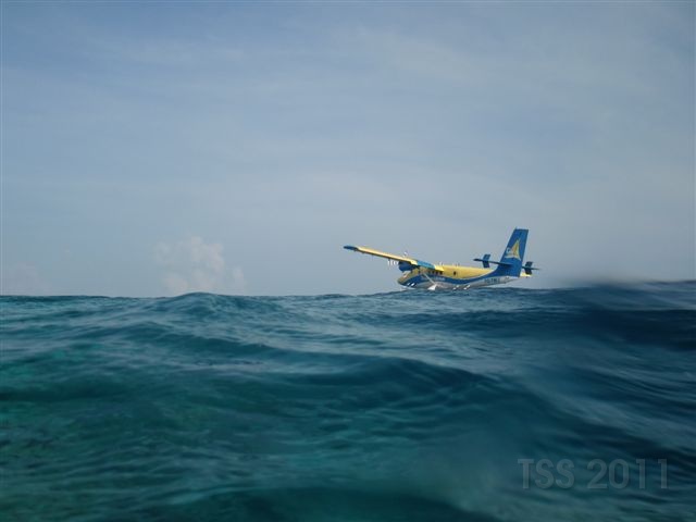 CIMG5890.JPG