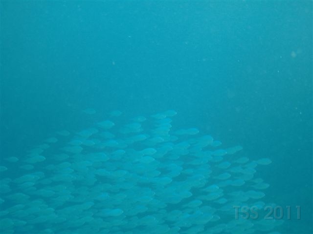 CIMG5939.JPG