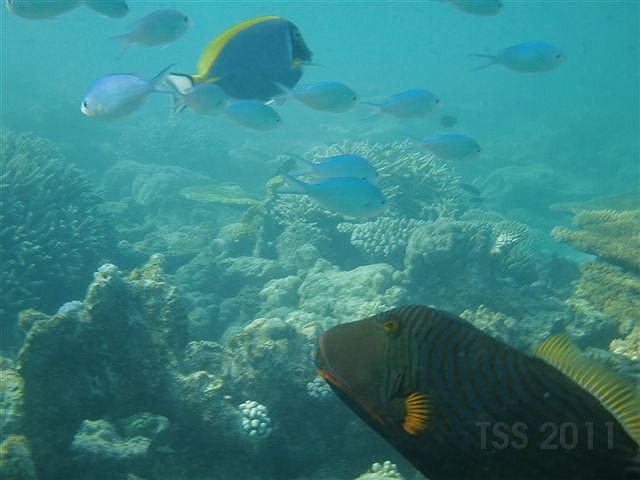 CIMG5948.JPG