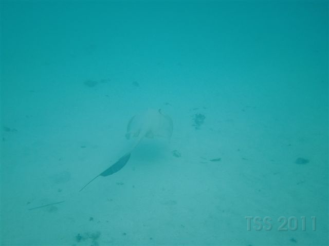 CIMG6076.JPG