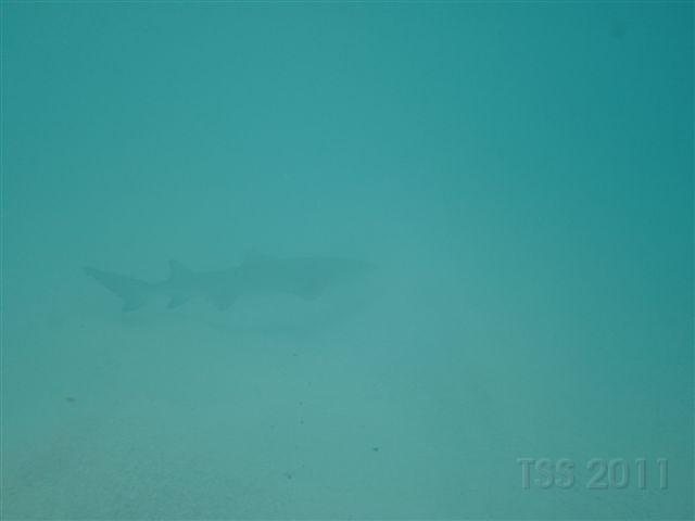 CIMG6994.JPG