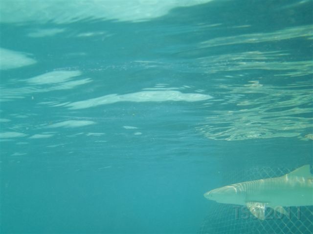 CIMG7010.JPG