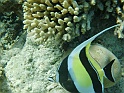 CIMG5899